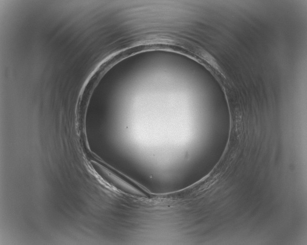 X0000054411116200508192024