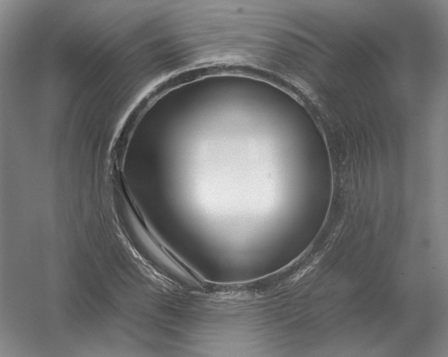 X0000054411118200508192024