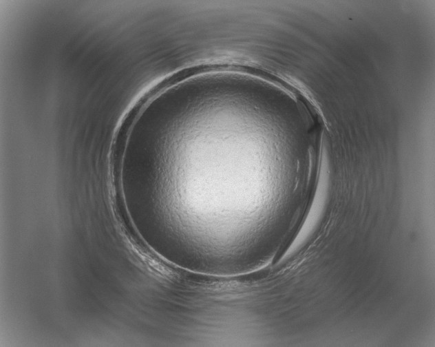 X0000054411120200508192024