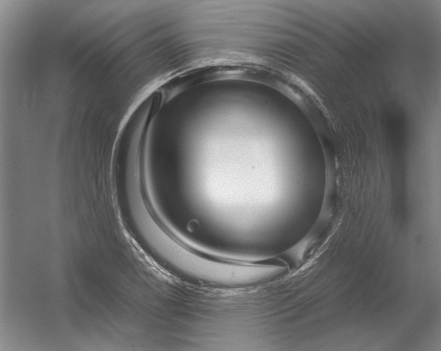 X0000054411122200508192024