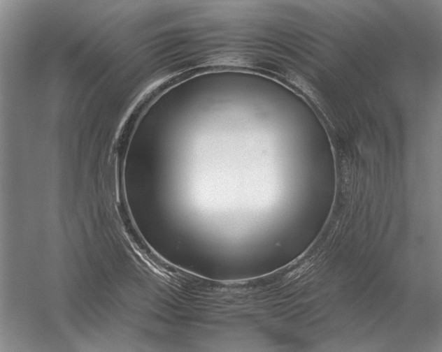 X0000054411123200508192024