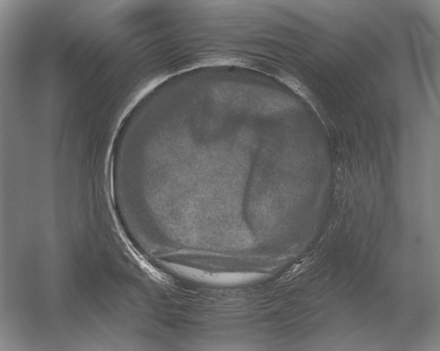 X0000054411127200508192024