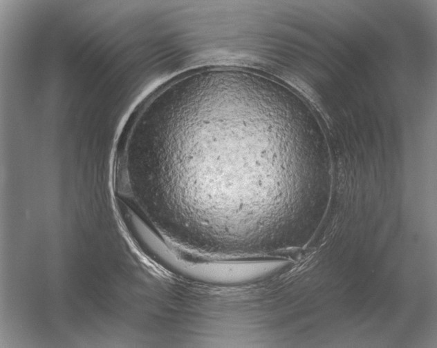 X0000054411128200508192024