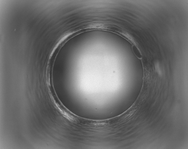 X0000054411131200508192024