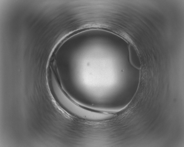 X0000054411132200508192024