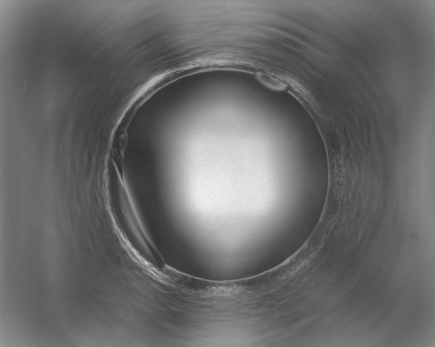 X0000054411134200508192024