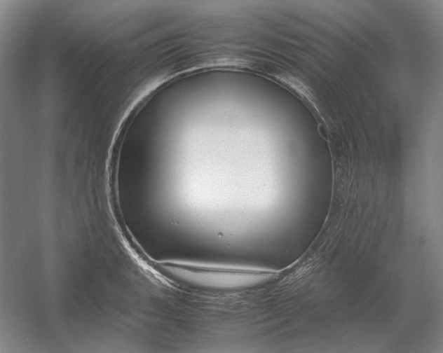 X0000054411135200508192024