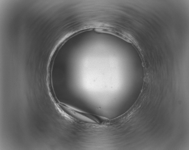 X0000054411136200508192024