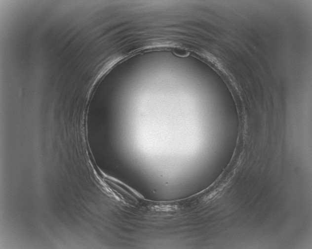 X0000054411137200508192024