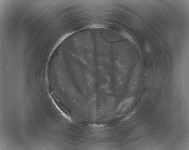X0000054411141200508192024