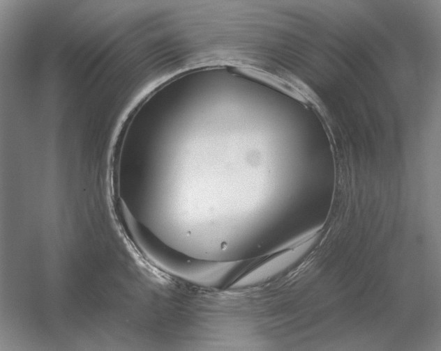 X0000054411144200508192024