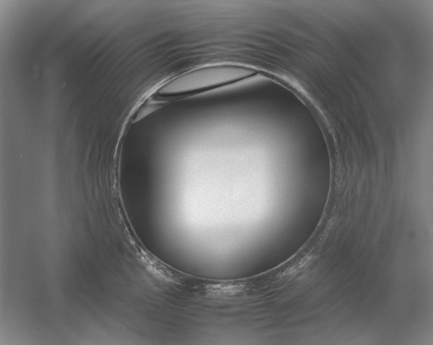 X0000054411145200508192024