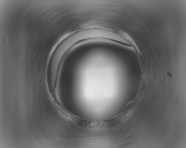 X0000054411146200508192024