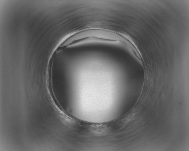 X0000054411147200508192024