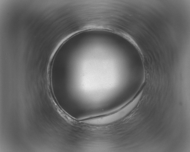 X0000054411148200508192024