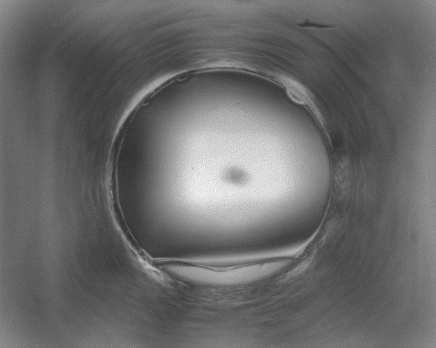 X0000054411149200508192024