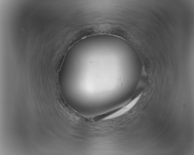 X0000054411153200508192024