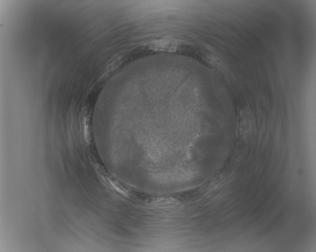 X0000054411154200508192024