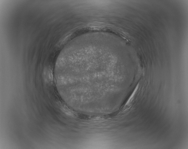 X0000054411155200508192024