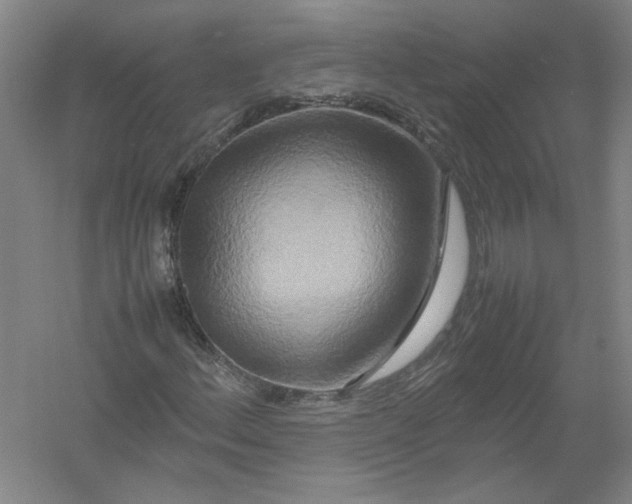 X0000054411156200508192024