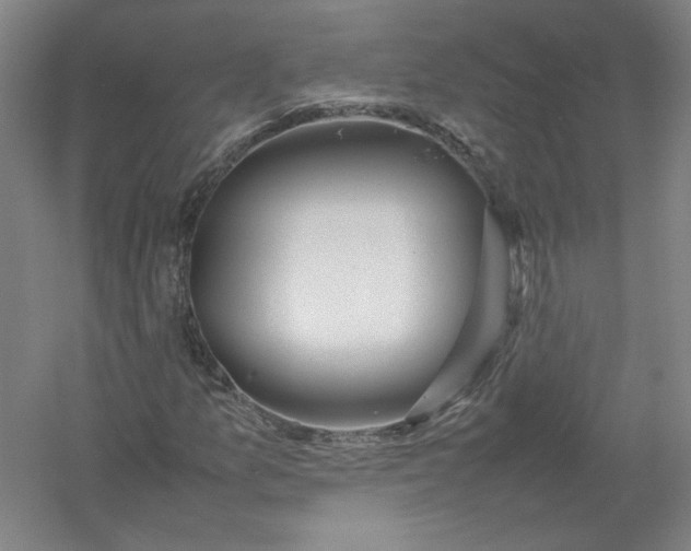 X0000054411157200508192024