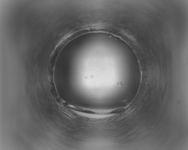 X0000054411160200508192023