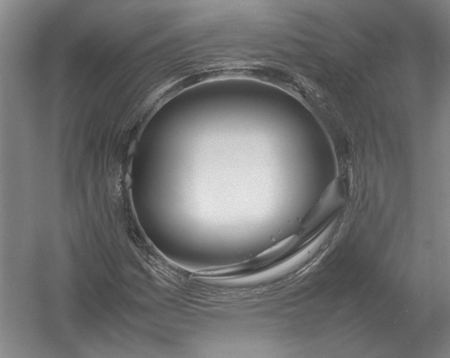 X0000054411161200508192023