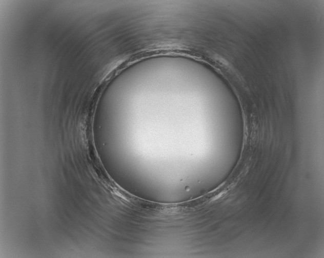 X0000054411162200508192023