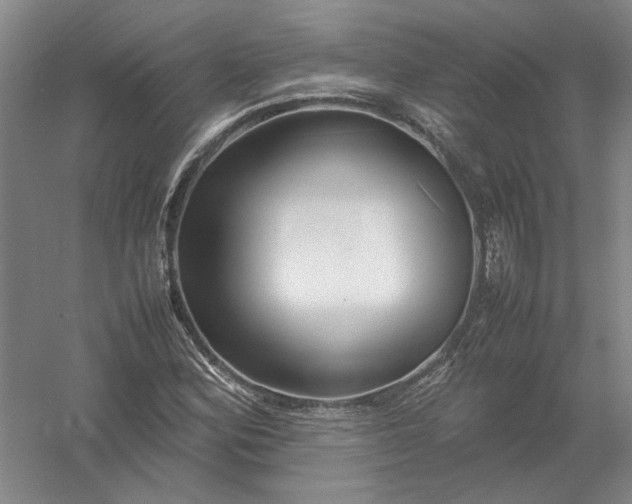 X0000054411164200508192023