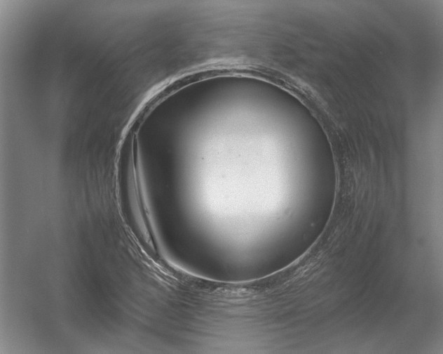 X0000054411168200508192023
