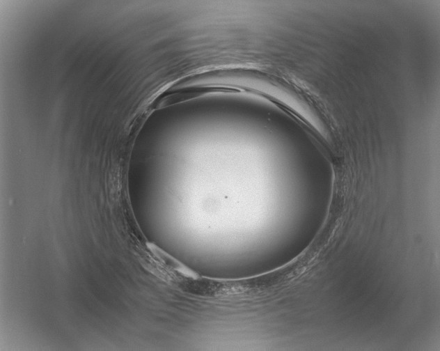 X0000054411169200508192023