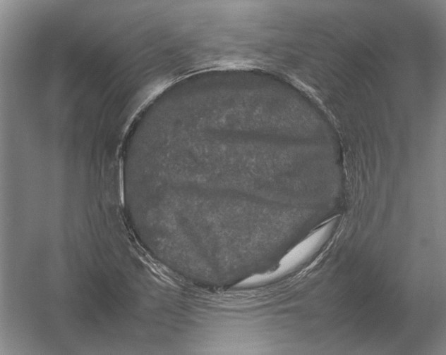 X0000054411171200508192023