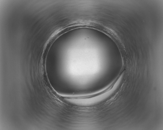 X0000054411172200508192023