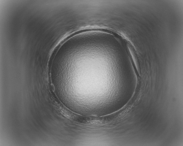 X0000054411173200508192023