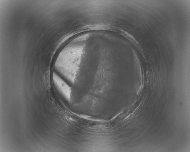 X0000054411174200508192023