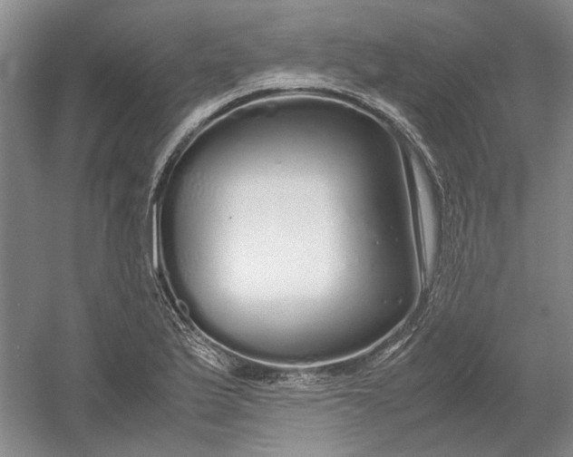 X0000054411175200508192023