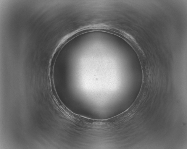 X0000054411176200508192023