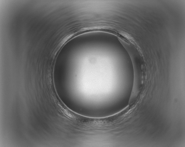 X0000054411177200508192023
