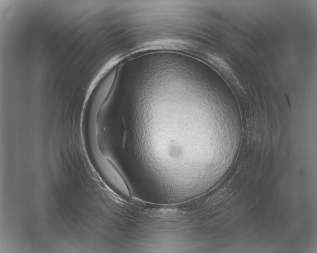 X0000054411180200508192023