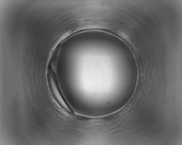 X0000054411181200508192023