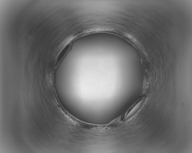 X0000054411185200508192023