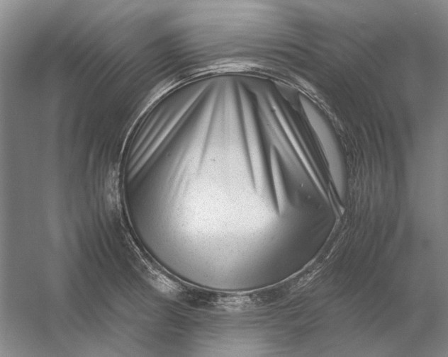 X0000054411186200508192023