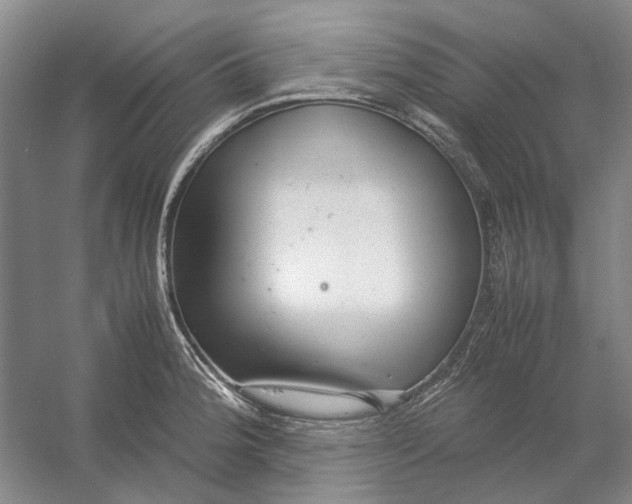 X0000054411188200508192023