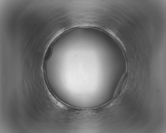 X0000054411189200508192023