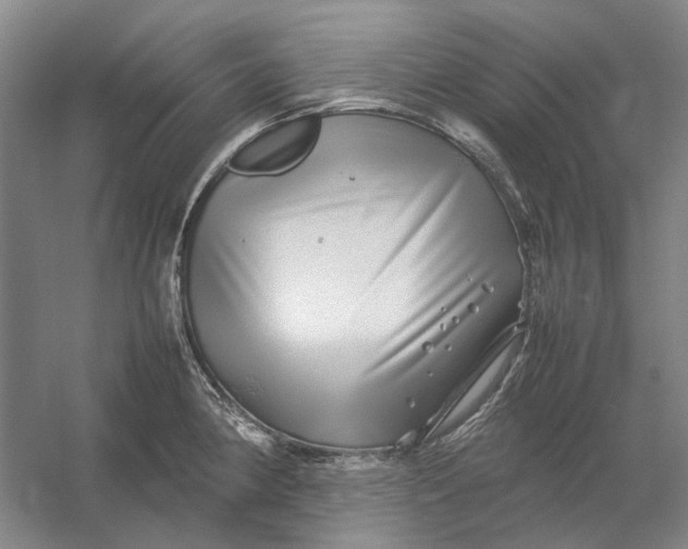 X0000054411190200508192023
