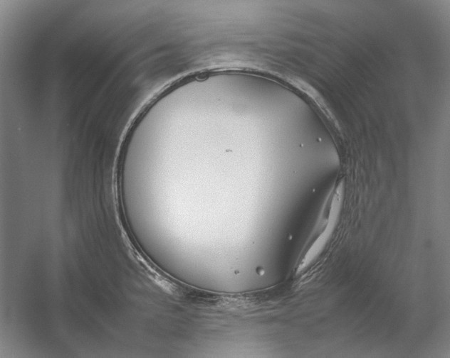 X0000054411191200508192023