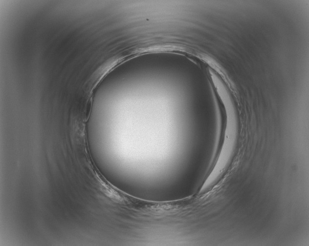 X0000054411193200508192023