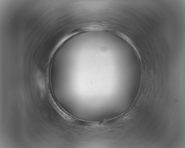 X0000054411195200508192023