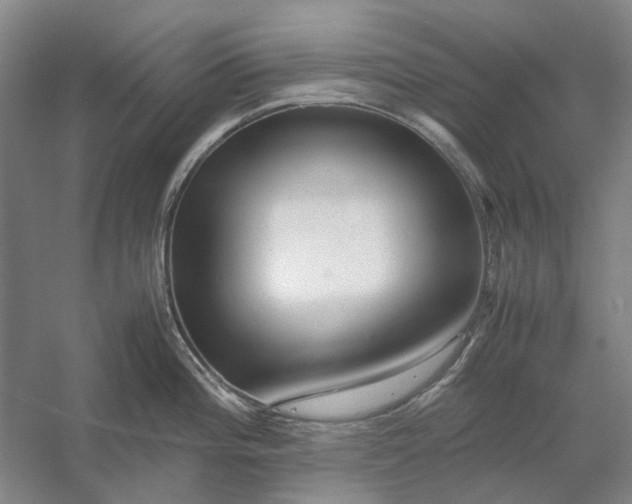 X0000054411196200508192023
