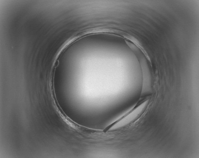X0000054411197200508192023
